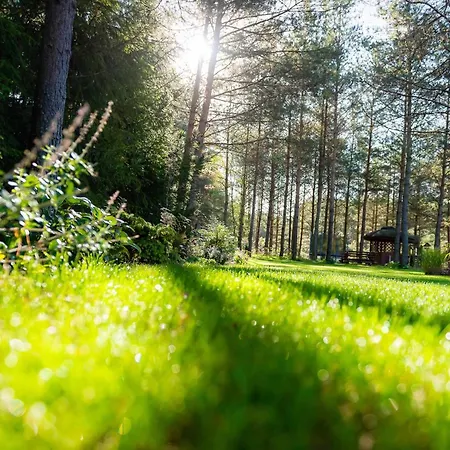 Lesna Strzecha Villa *