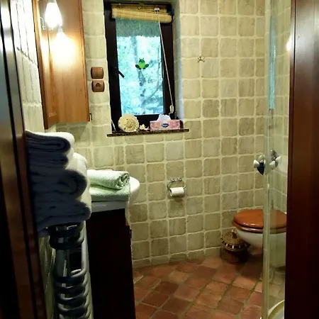 Villa Lesna Strzecha *