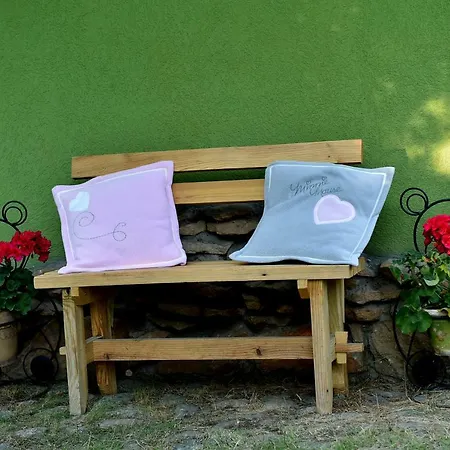 ヴィラ Lesna Strzecha *