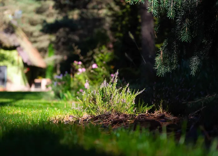 Lesna Strzecha Villa