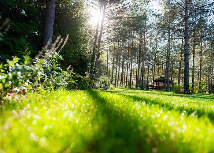 Lesna Strzecha 别墅 *